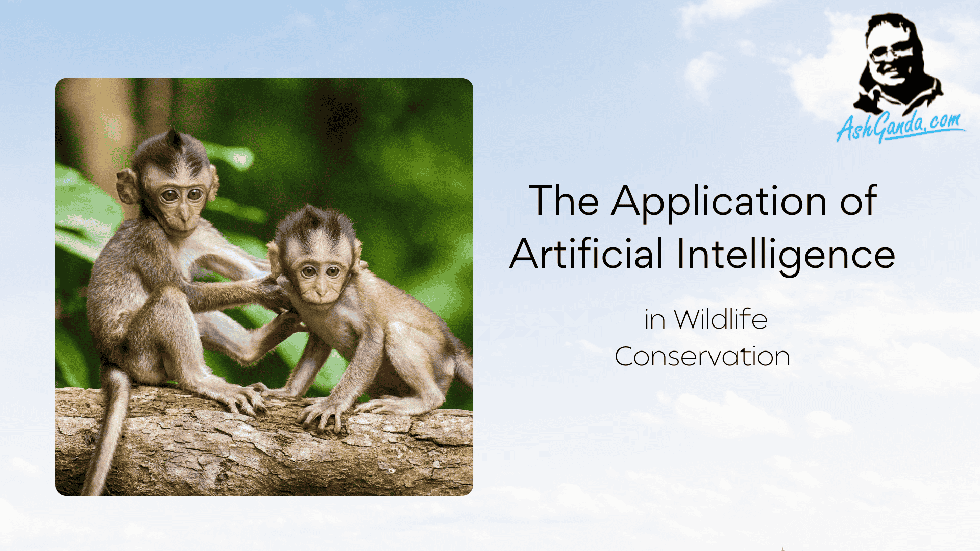 The Application of Artificial Intelligence in Wildlife Conservation