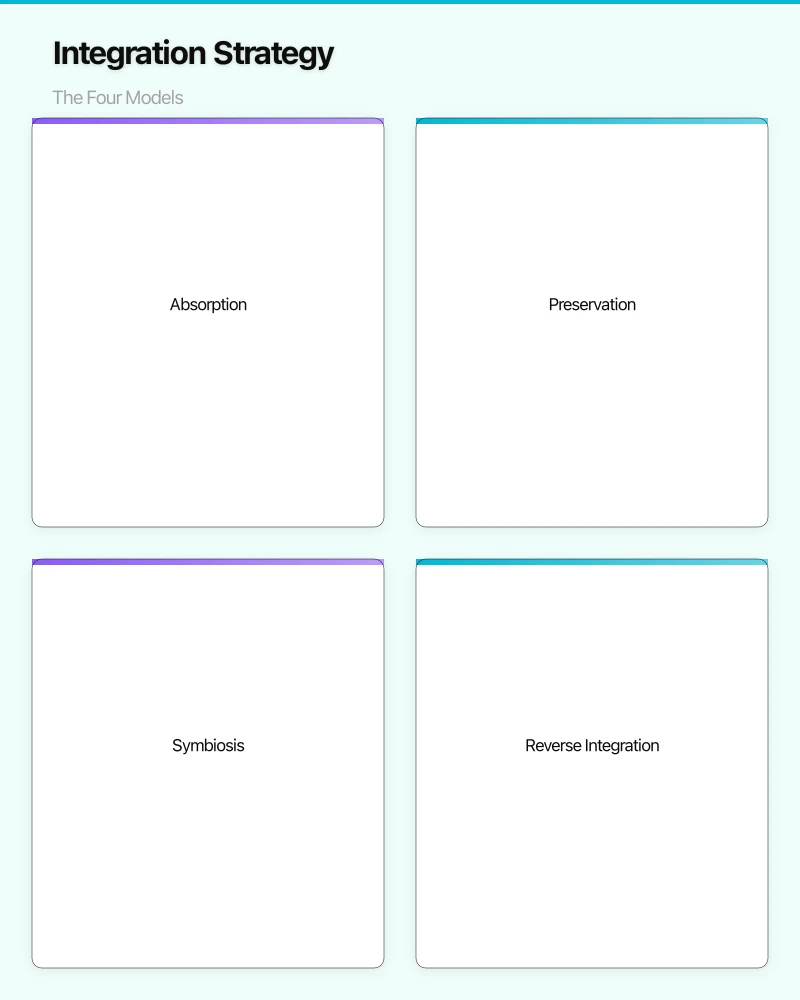 Execution: The Integration Programme Infographic