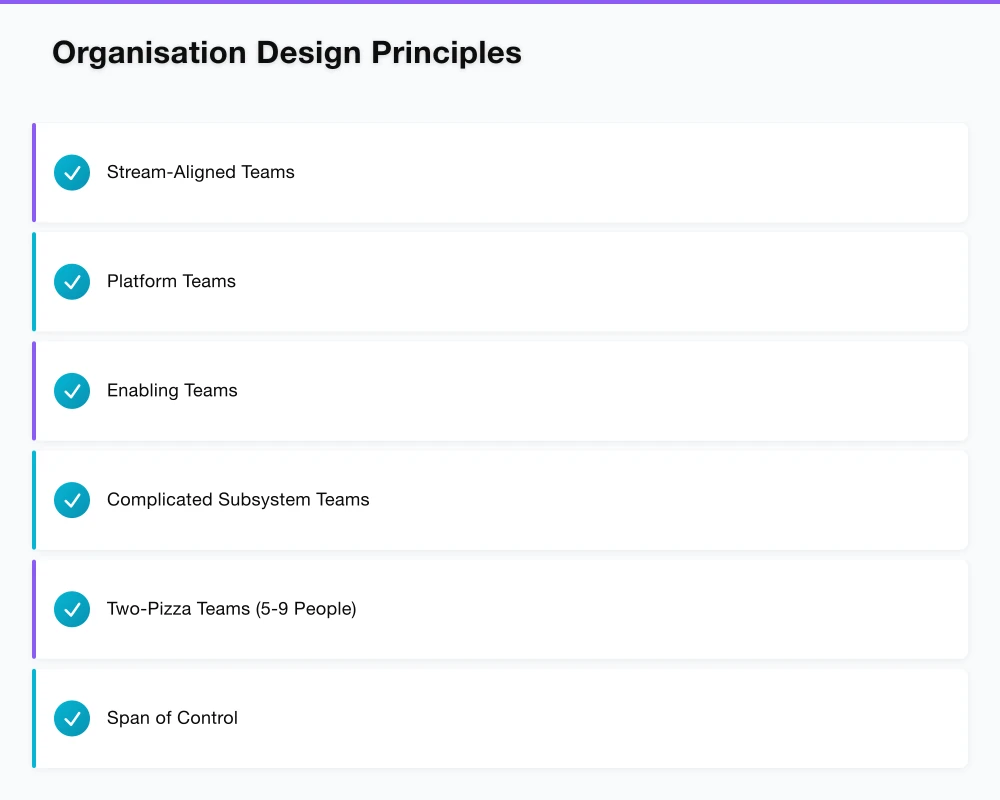 Organisation Design Principles Infographic