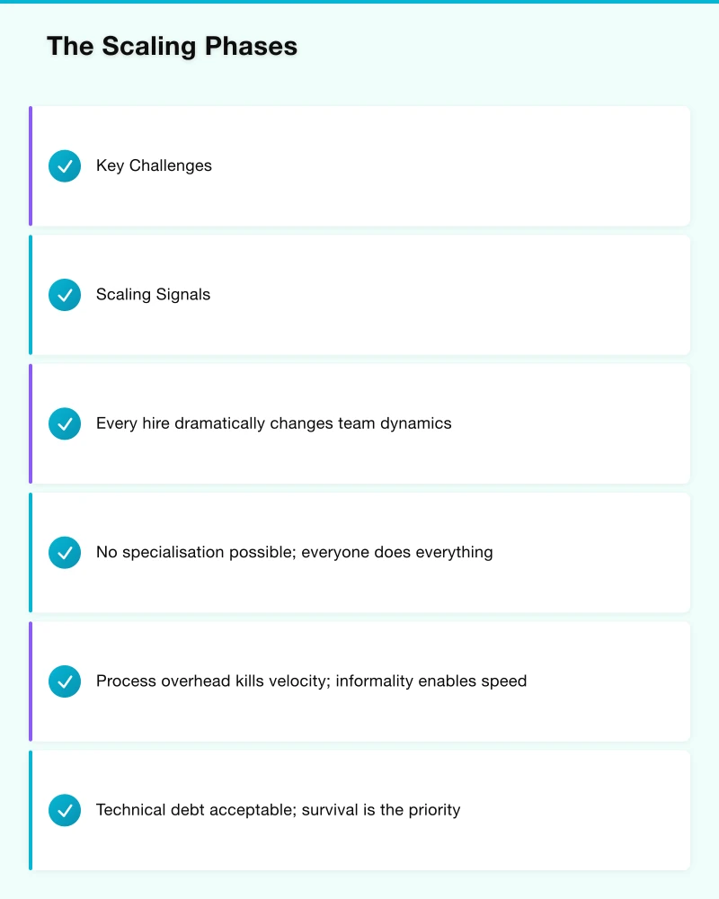 Hiring Strategy Infographic