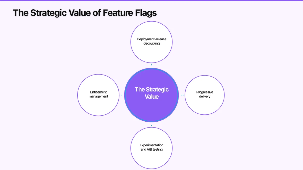 Flag Lifecycle Management Infographic