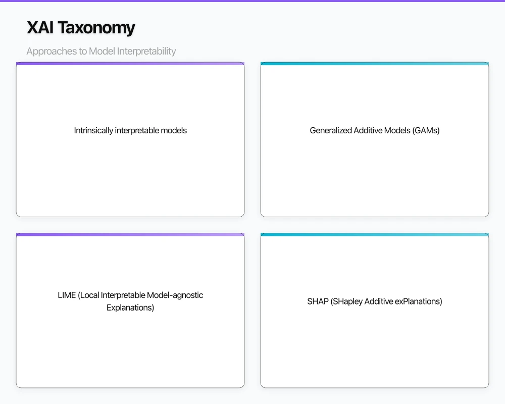 XAI Taxonomy: Approaches to Model Interpretability Infographic