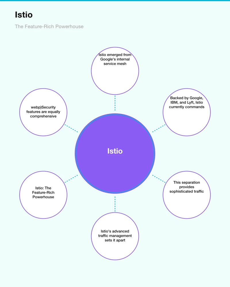 Istio: The Feature-Rich Powerhouse Infographic