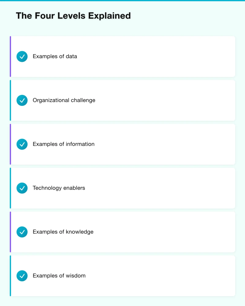 The Four Levels Explained Infographic